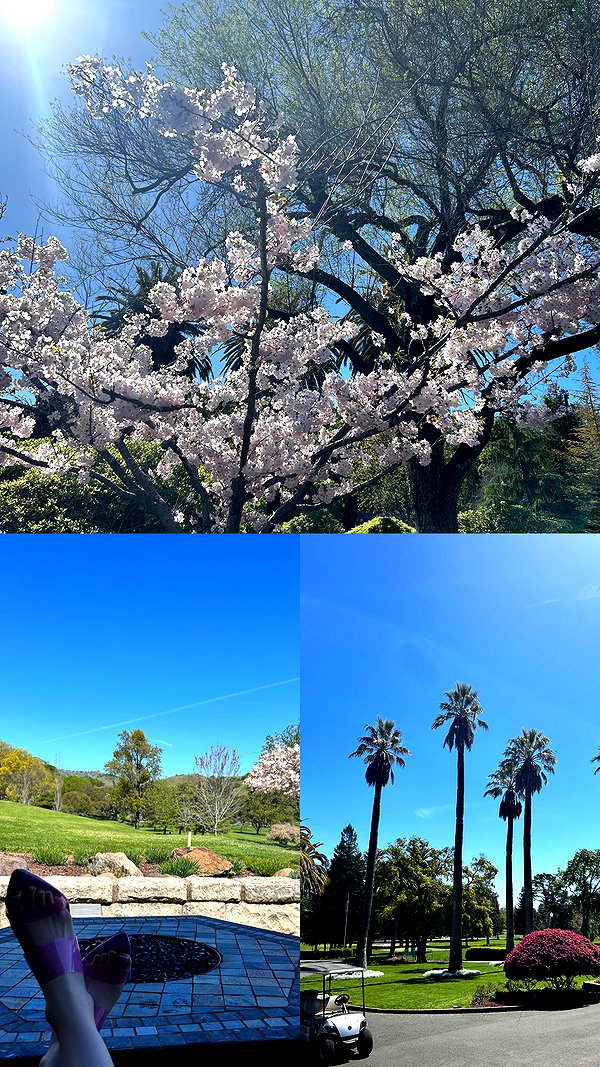 lumaskyee instagram image archive image