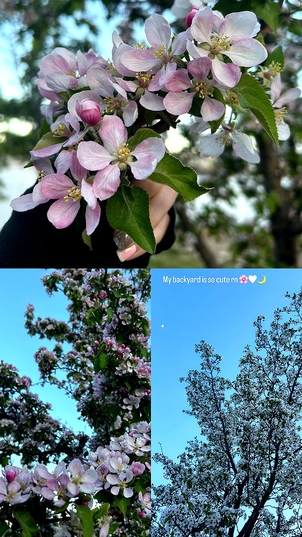 lumaskyee instagram image archive image