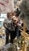 lyridylan Altpins Profile Picture