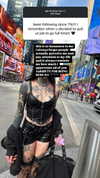 m0rguekittyy Altpins Profile Picture