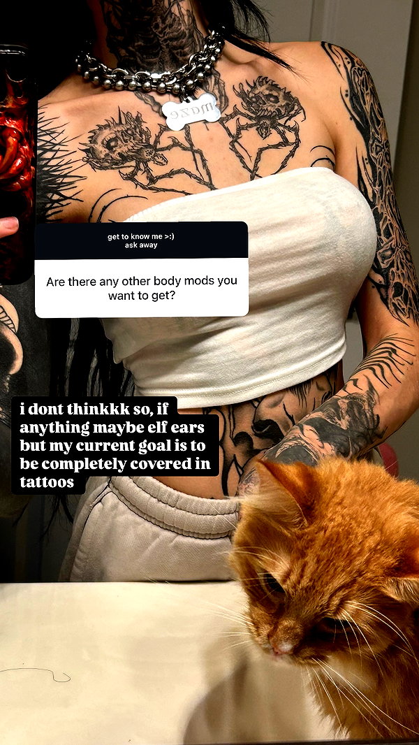 m0rguekittyy instagram image archive image