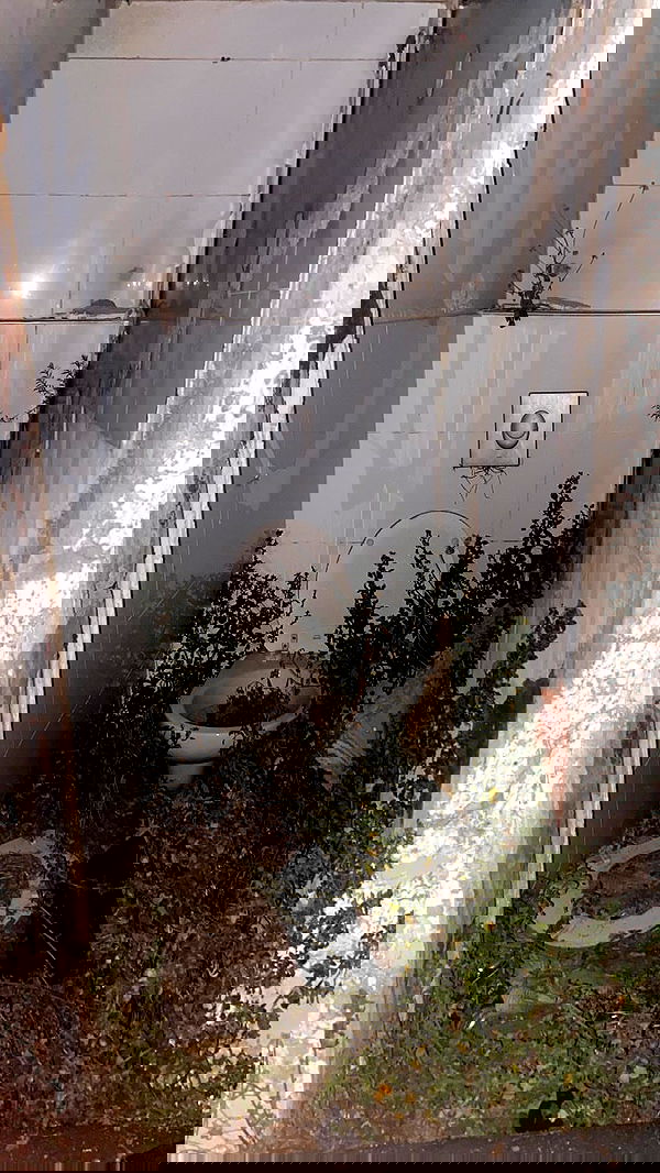 m1ry2m_ m1ry2m_ archive image