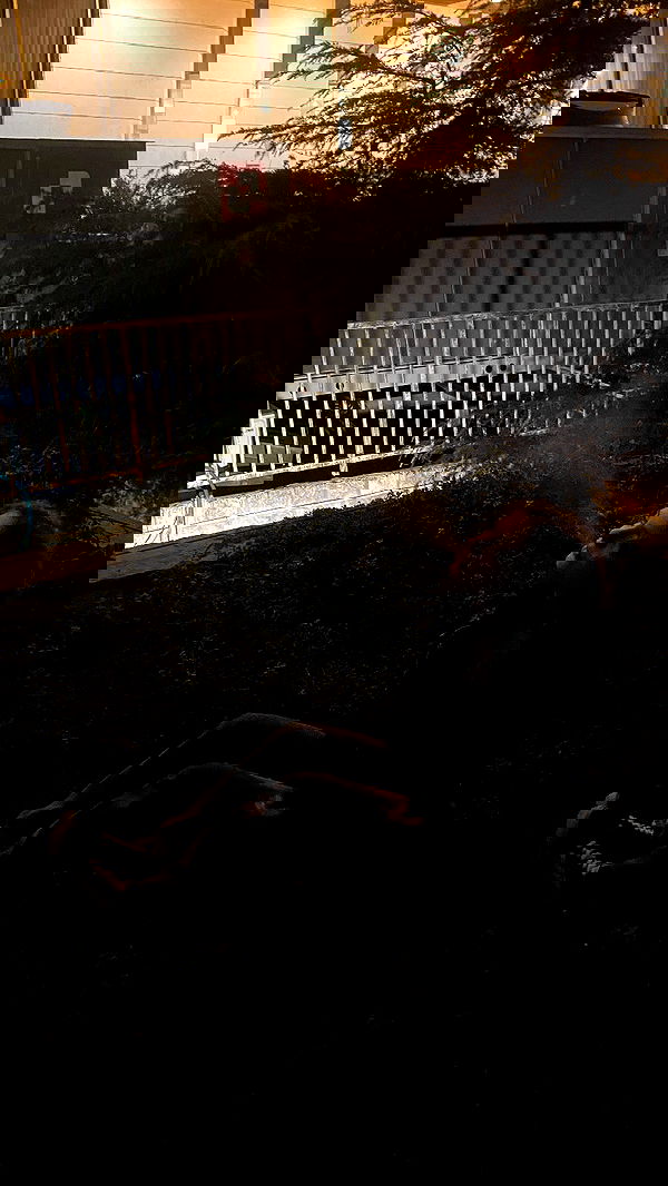 m1ry2m_ m1ry2m_ archive image