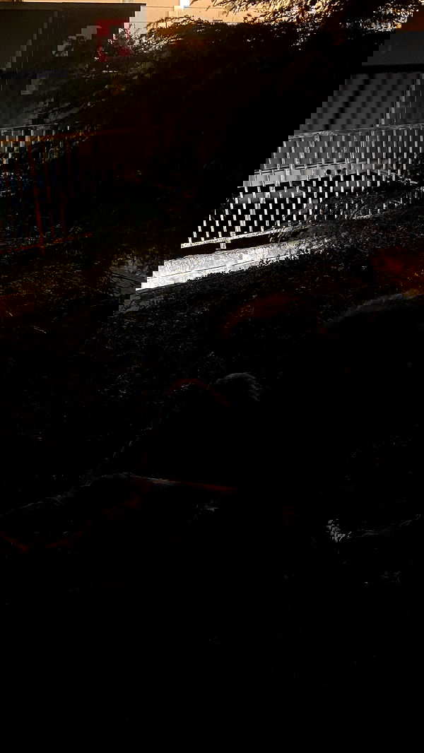 m1ry2m_ m1ry2m_ archive image