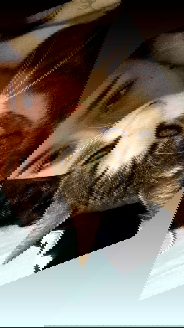 m1ry2m_ m1ry2m_ archive image