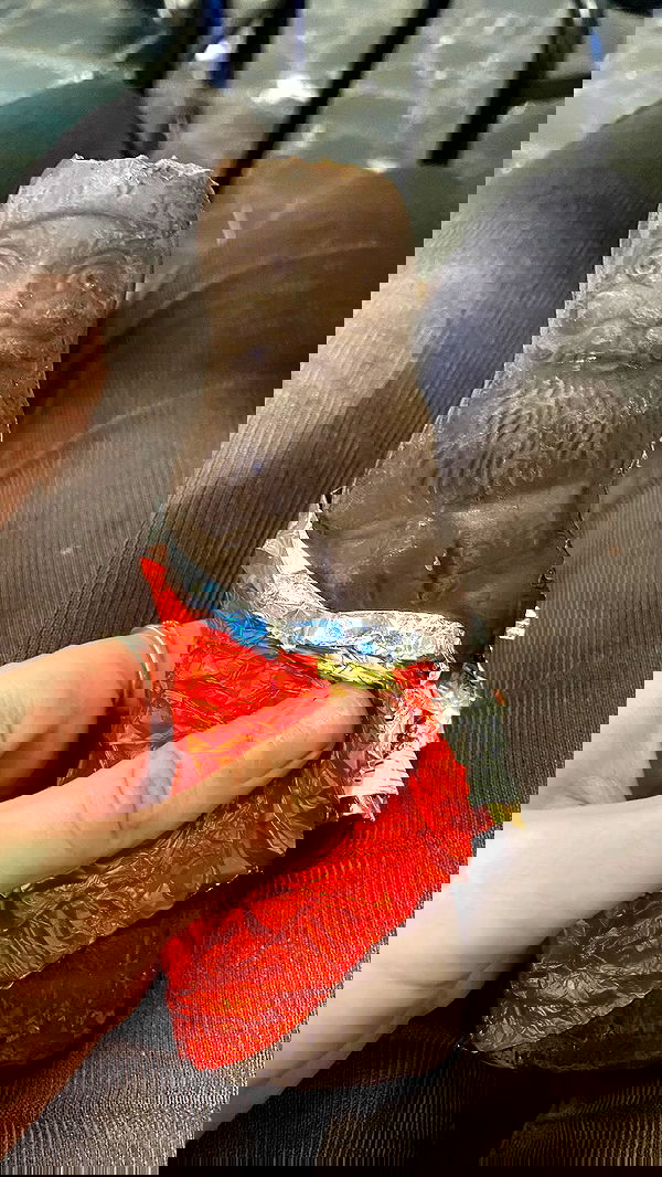 m1ry2m_ m1ry2m_ archive image