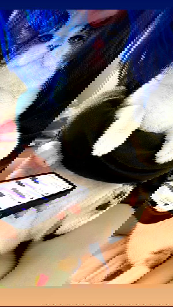 m1ry2m_ m1ry2m_ archive image