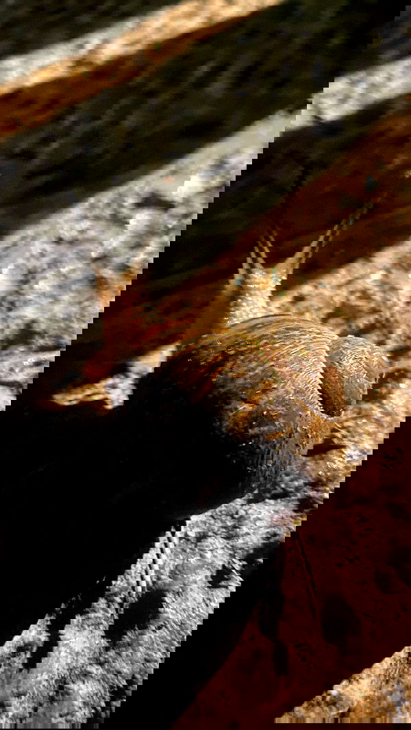 m1ry2m_ m1ry2m_ archive image