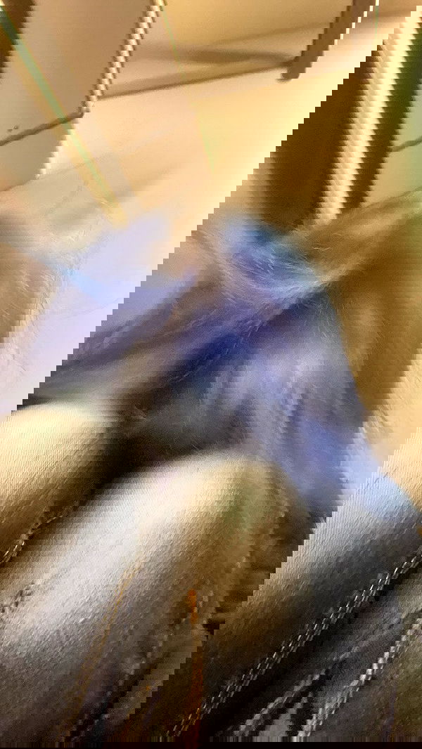 m1ry2m_ m1ry2m_ archive image