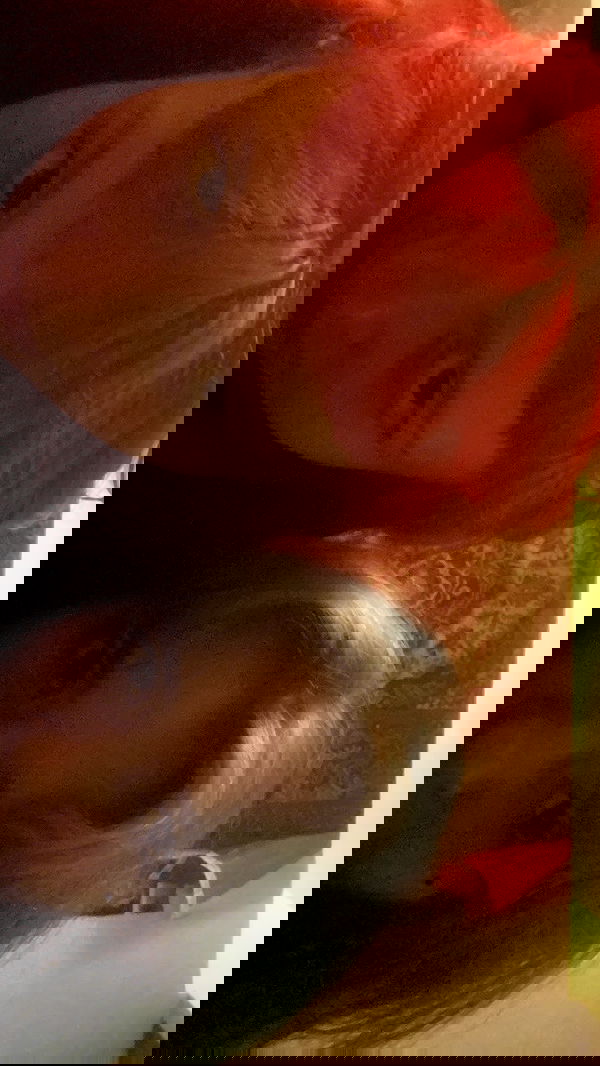 m1ry2m_ m1ry2m_ archive image