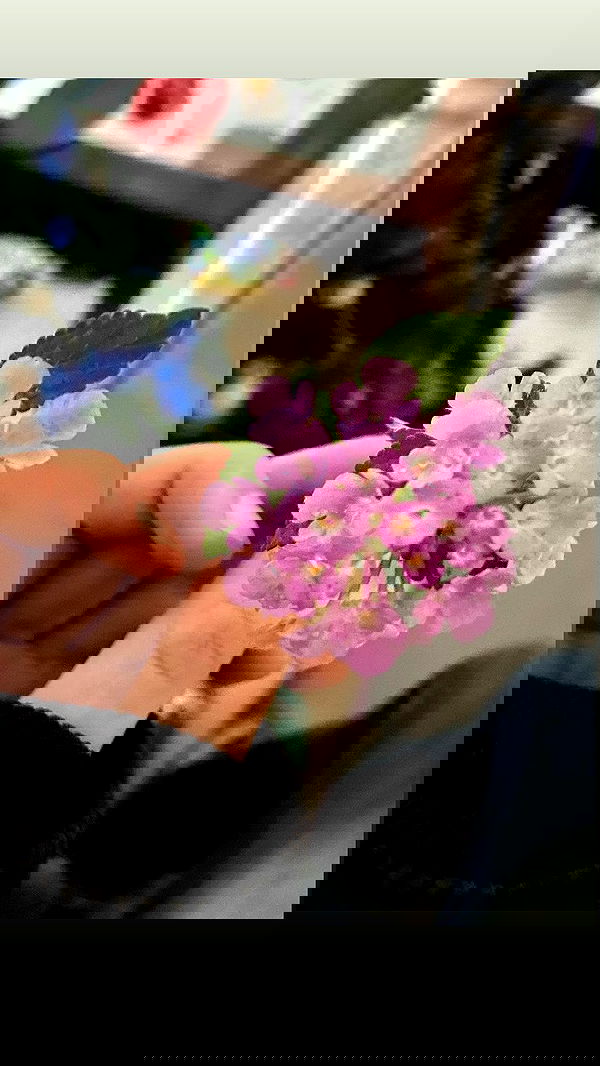 m1ry2m_ m1ry2m_ archive image