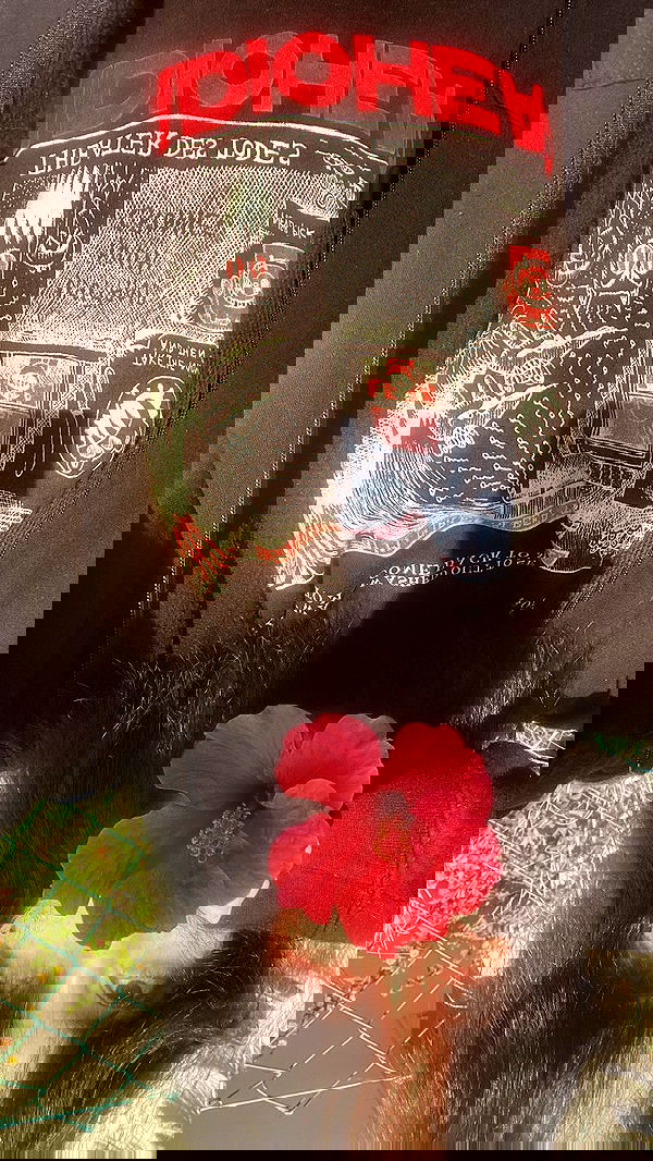 m1ry2m_ m1ry2m_ archive image