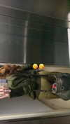 manic__sexdoll Altpins Profile Picture