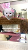 manic__sexdoll Altpins Profile Picture