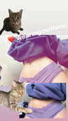 manic__sexdoll Altpins Profile Picture