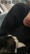 manic__sexdoll Altpins Profile Picture