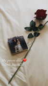 maria_vaisburd Altpins Profile Picture
