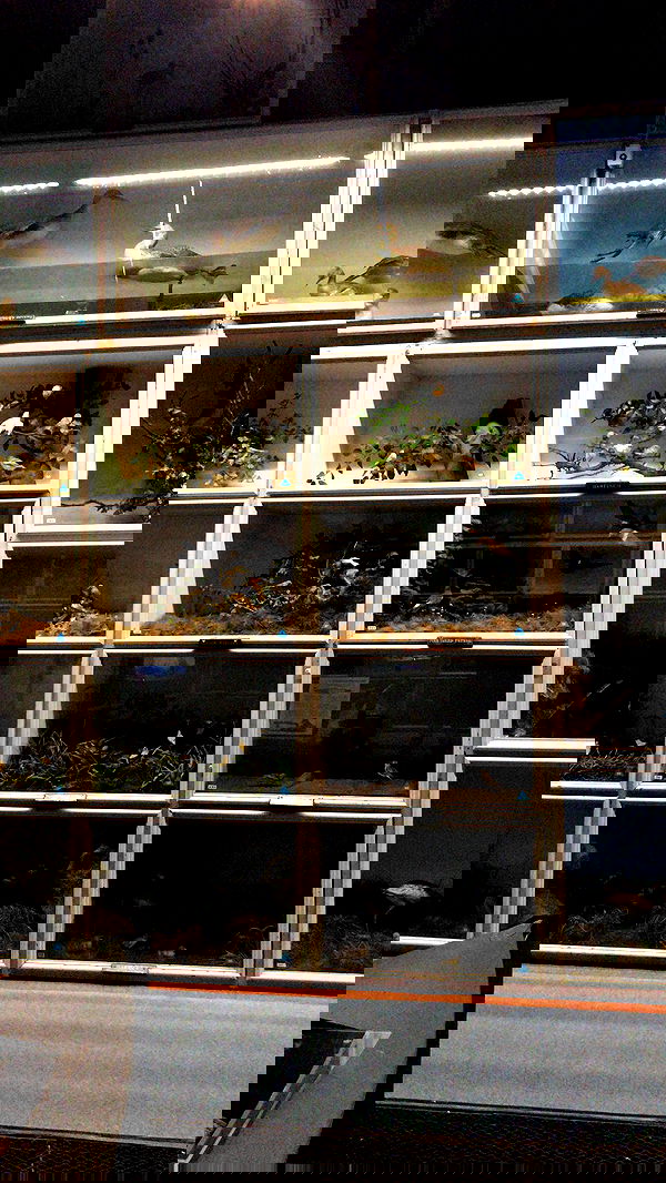 mayamorgannnnnn mayamorgannnnnn archive image