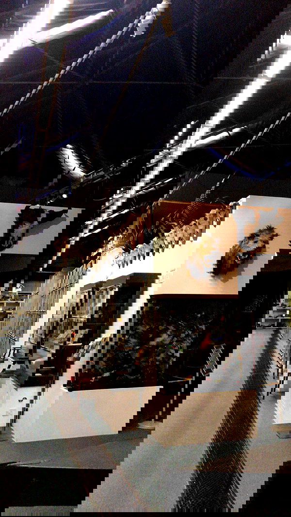 mayamorgannnnnn mayamorgannnnnn archive image