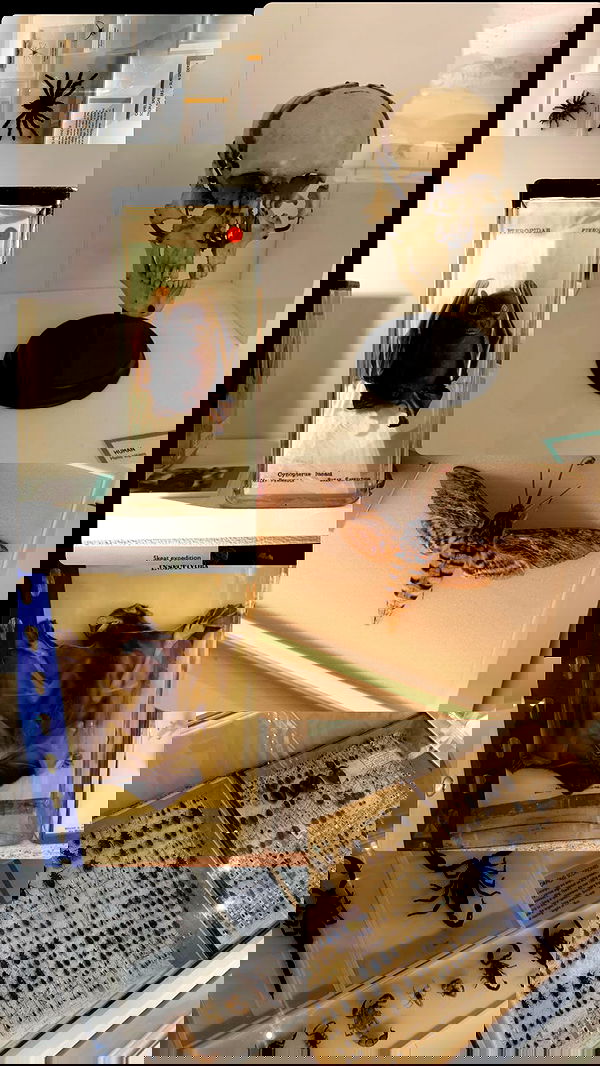 mayamorgannnnnn mayamorgannnnnn archive image