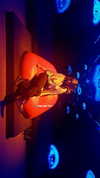 maycohen8 Altpins Profile Picture