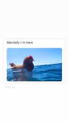 maycohen8 Altpins Profile Picture