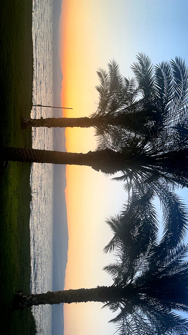 mayedri1 instagram image archive image