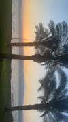 mayedri1 Altpins Profile Picture
