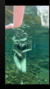 maymay_hitomi Altpins Profile Picture
