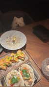 maymay_hitomi Altpins Profile Picture