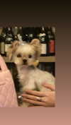 maymay_hitomi Altpins Profile Picture