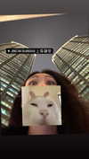 maymay_hitomi Altpins Profile Picture
