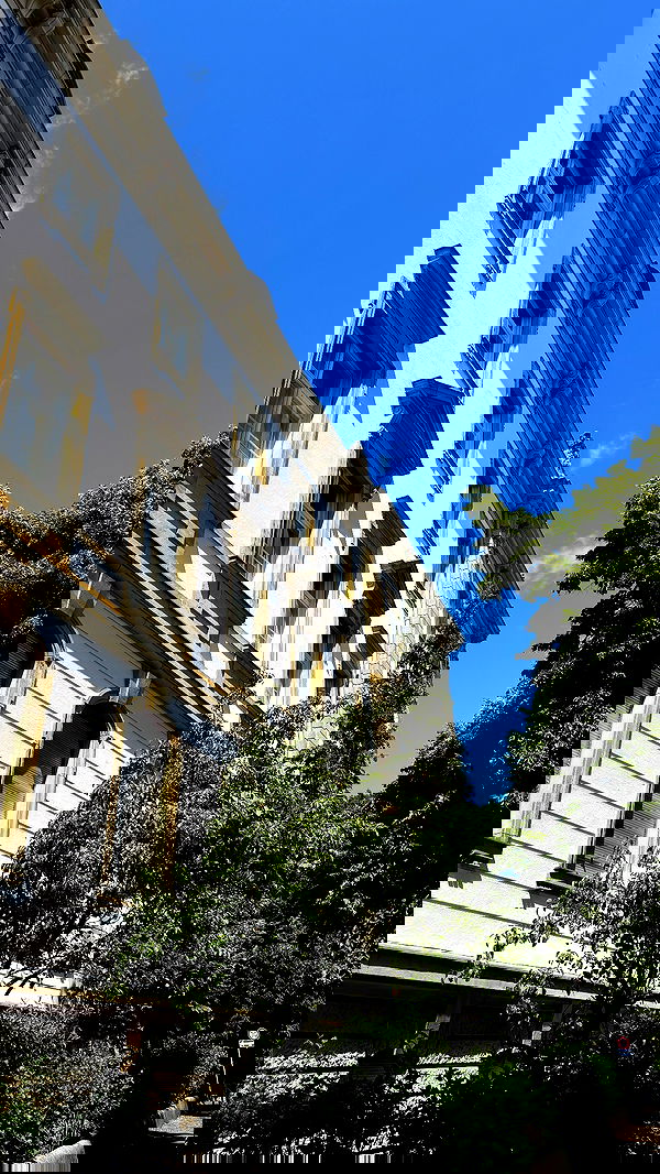 meikeae image ~ Altpins