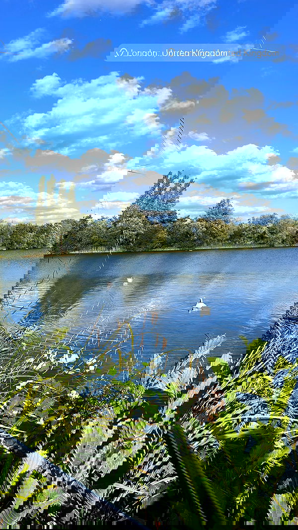 meikeae image ~ Altpins