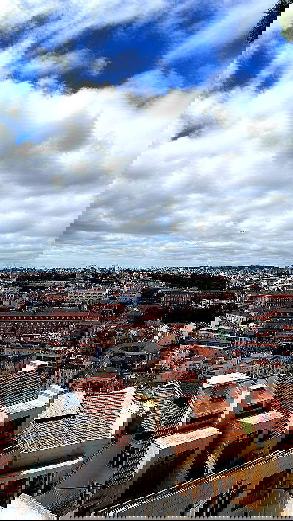 meikeae image ~ Altpins