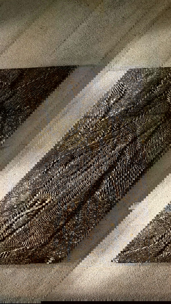 meikeae image ~ Altpins