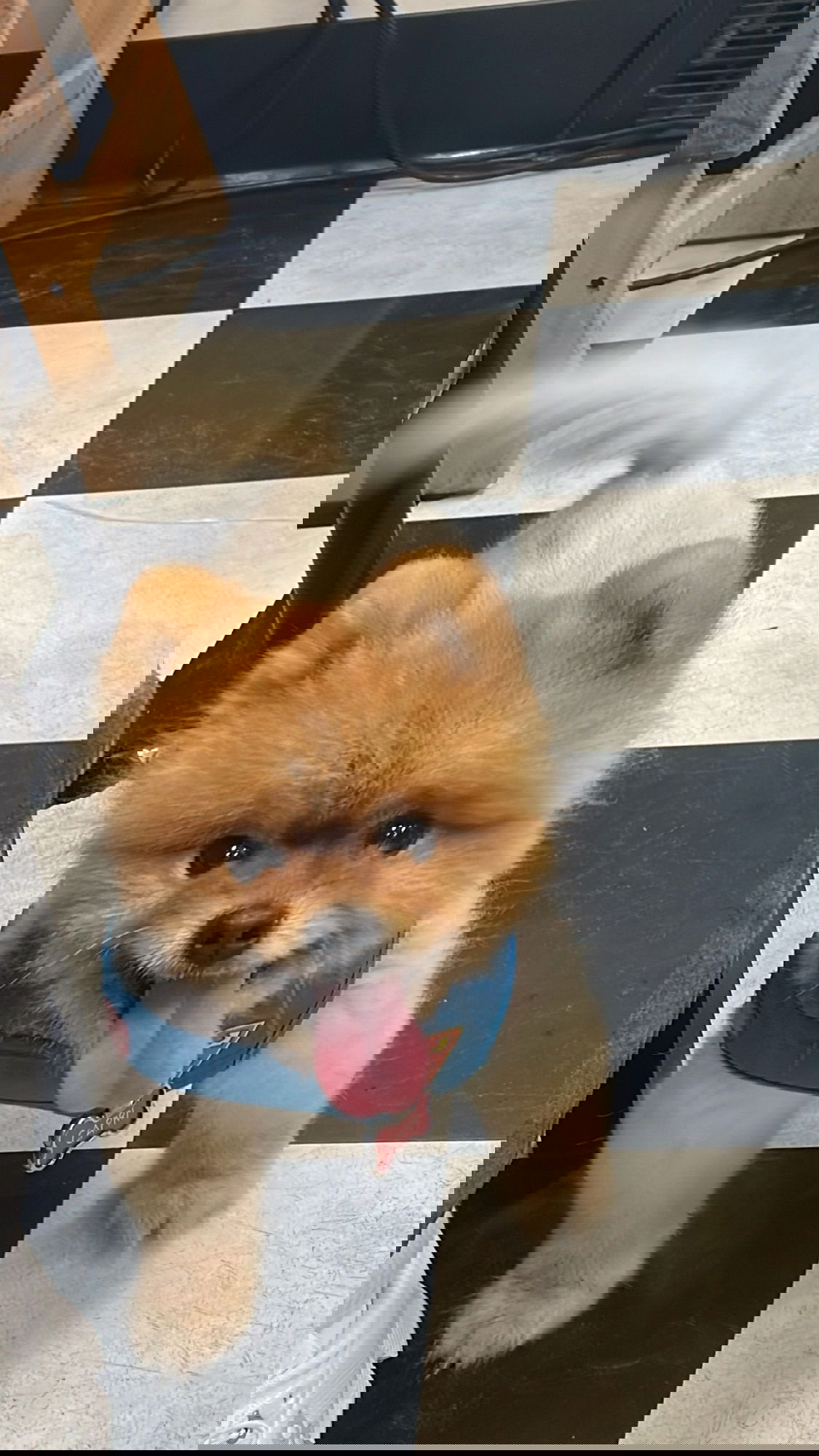 meikeae instagram image archive image