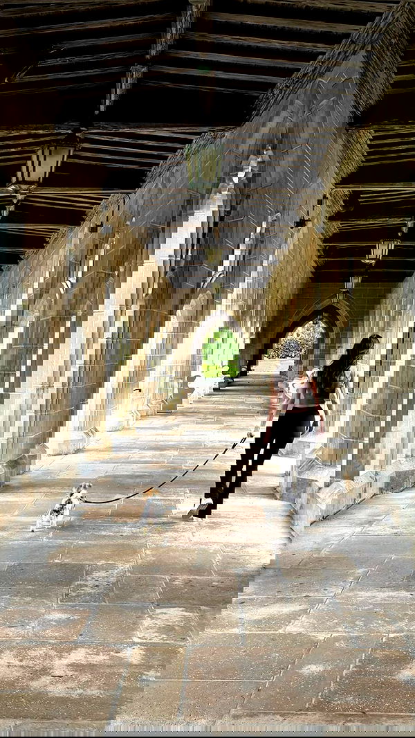 meikeae image ~ Altpins