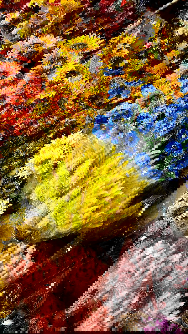 meikeae image ~ Altpins