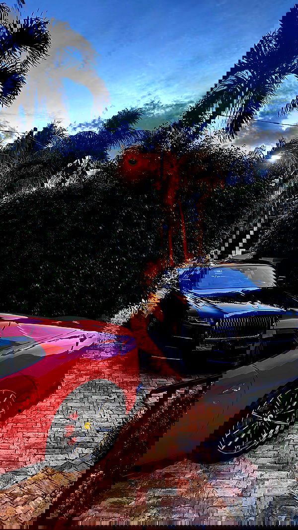 meikeae image ~ Altpins