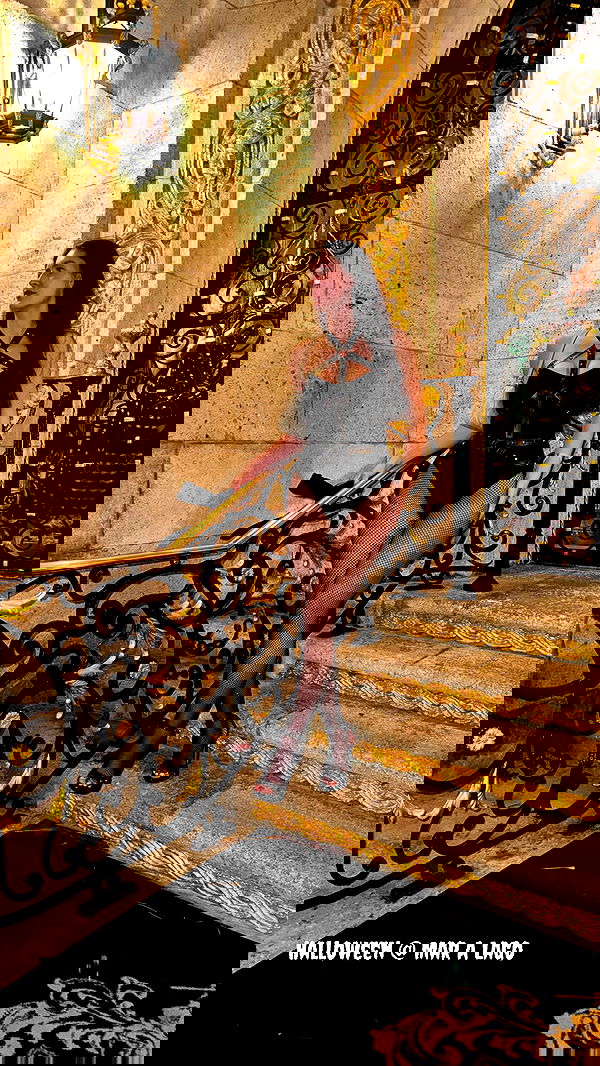 meikeae image ~ Altpins