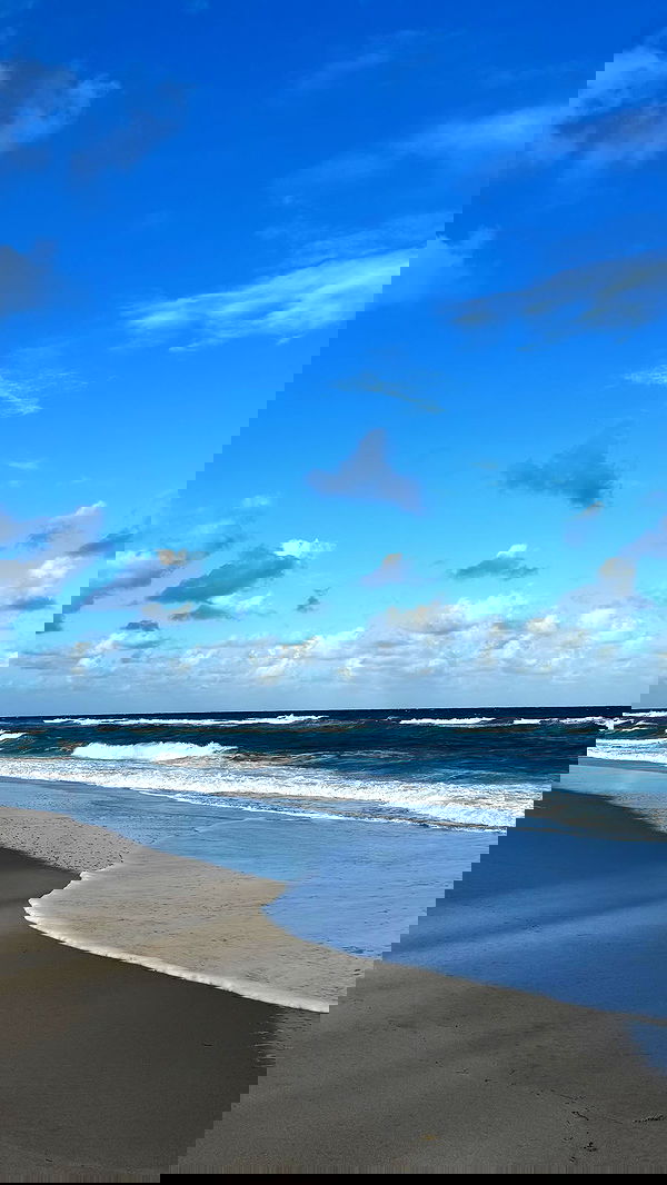 meikeae image ~ Altpins