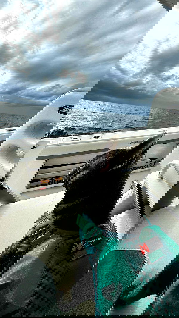 meikeae image ~ Altpins