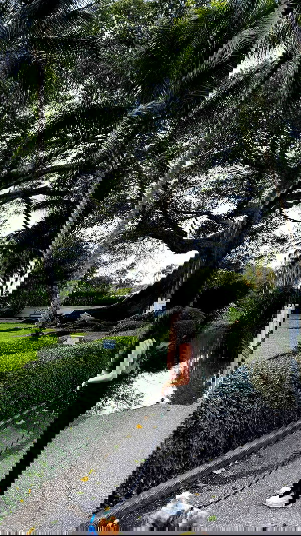 meikeae image ~ Altpins