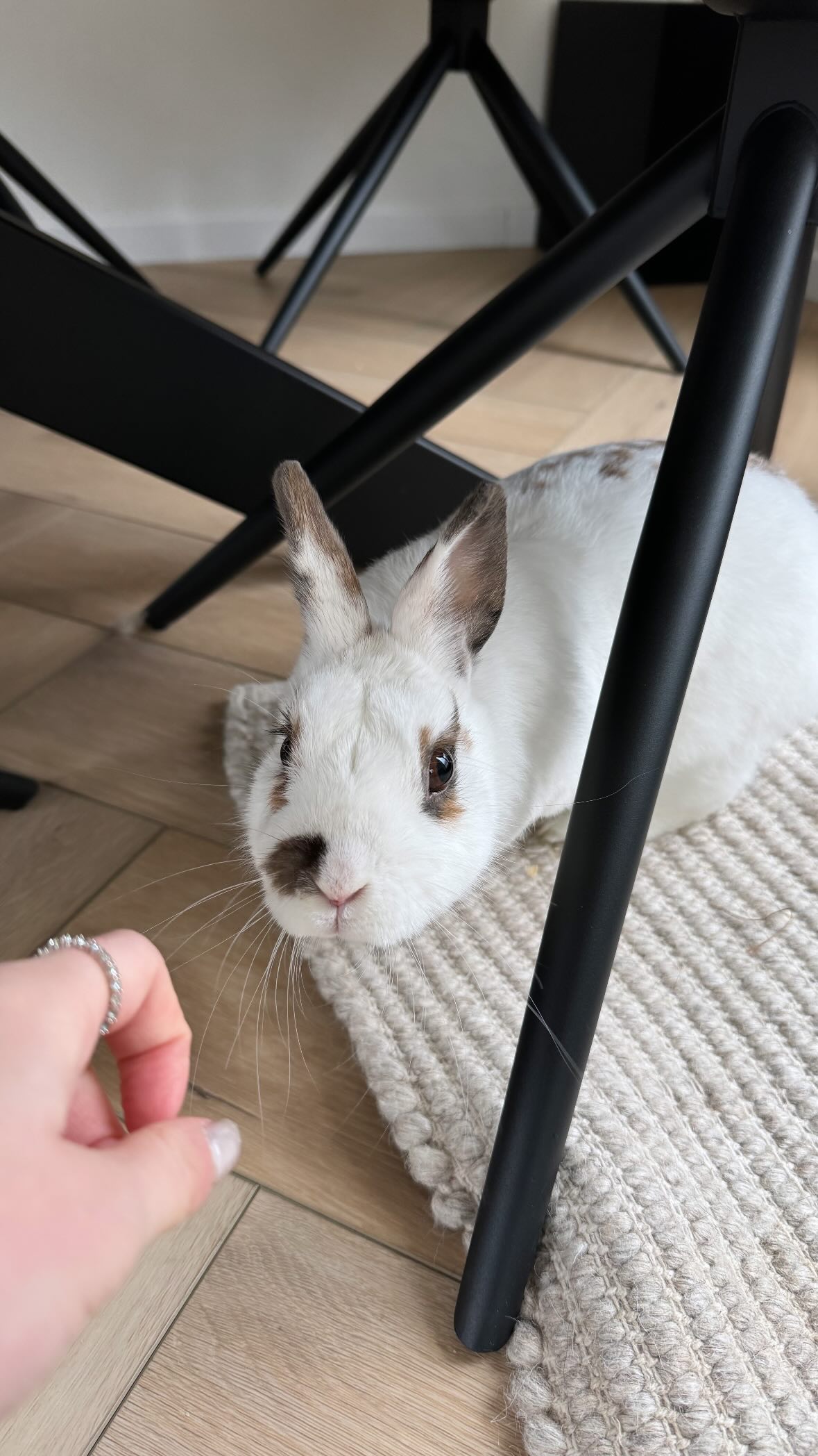 meikeae instagram image archive image