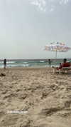 michelle_izraeli Altpins Profile Picture