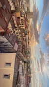 michelle_izraeli Altpins Profile Picture