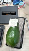 michelle_izraeli Altpins Profile Picture
