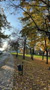 michelleloven_ Altpins Profile Picture