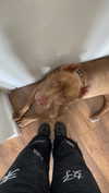 milena_kofef Altpins Profile Picture
